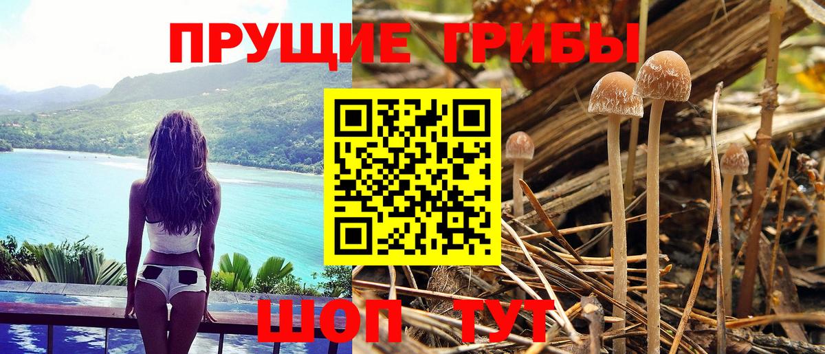 Псилоцибиновые грибы MAGIC MUSHROOMS  Псилоцибиновые грибы прущие грибы  Гусь-Хрустальный  Вход с VPN 